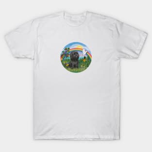 Black Shih Tzu in Rainbow Bridge Country T-Shirt